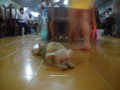 f:id:monna8888:20130217201038j:image:medium:left