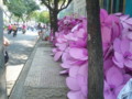 f:id:monna8888:20130219120532j:image:medium:left