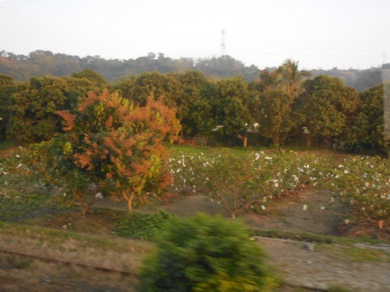 f:id:monna8888:20140223184102j:image:w220