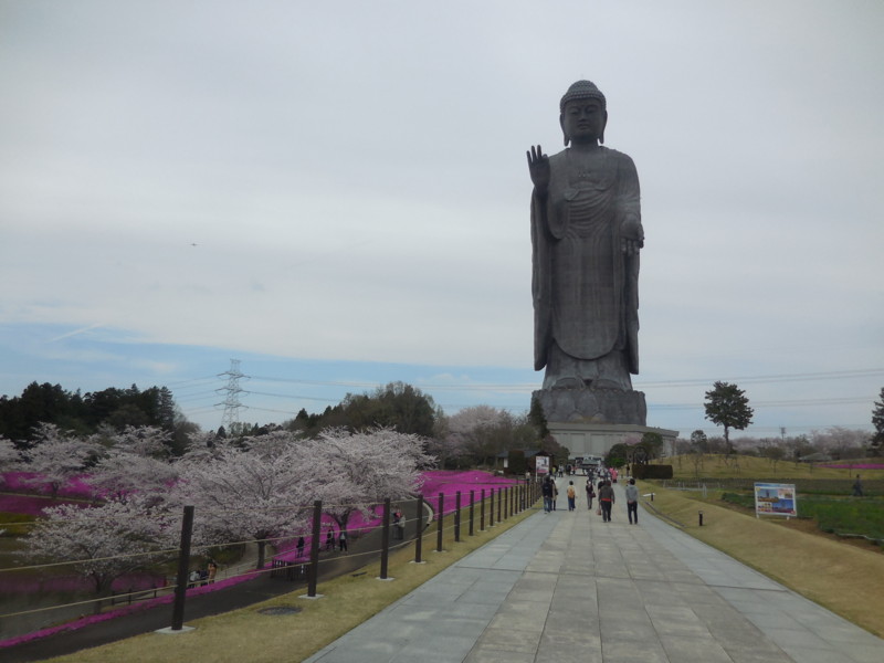 f:id:monna8888:20160409135622j:image