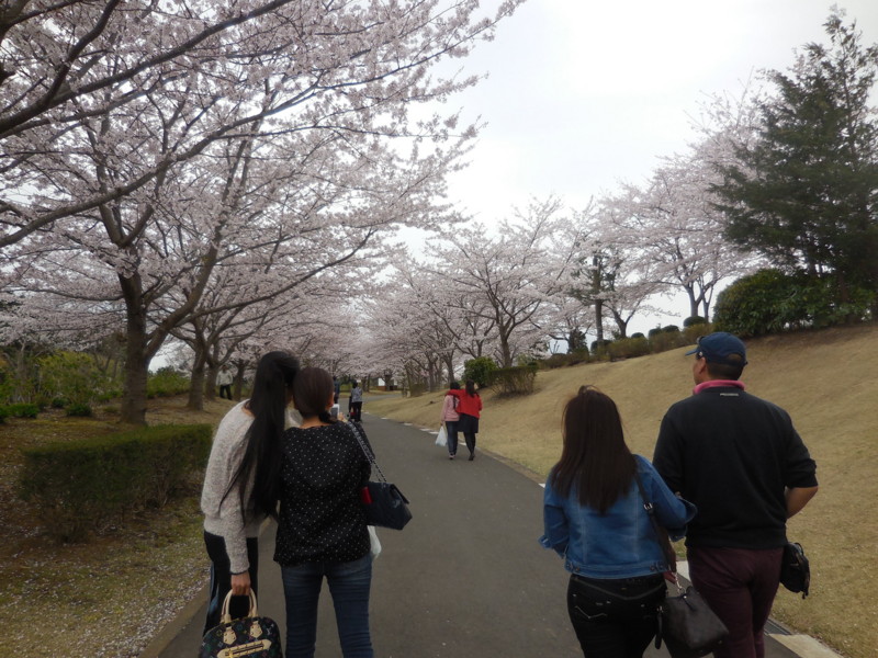 f:id:monna8888:20160409153557j:image