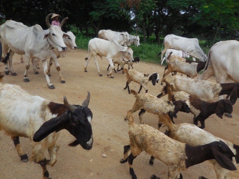 f:id:monna8888:20161025154029j:image