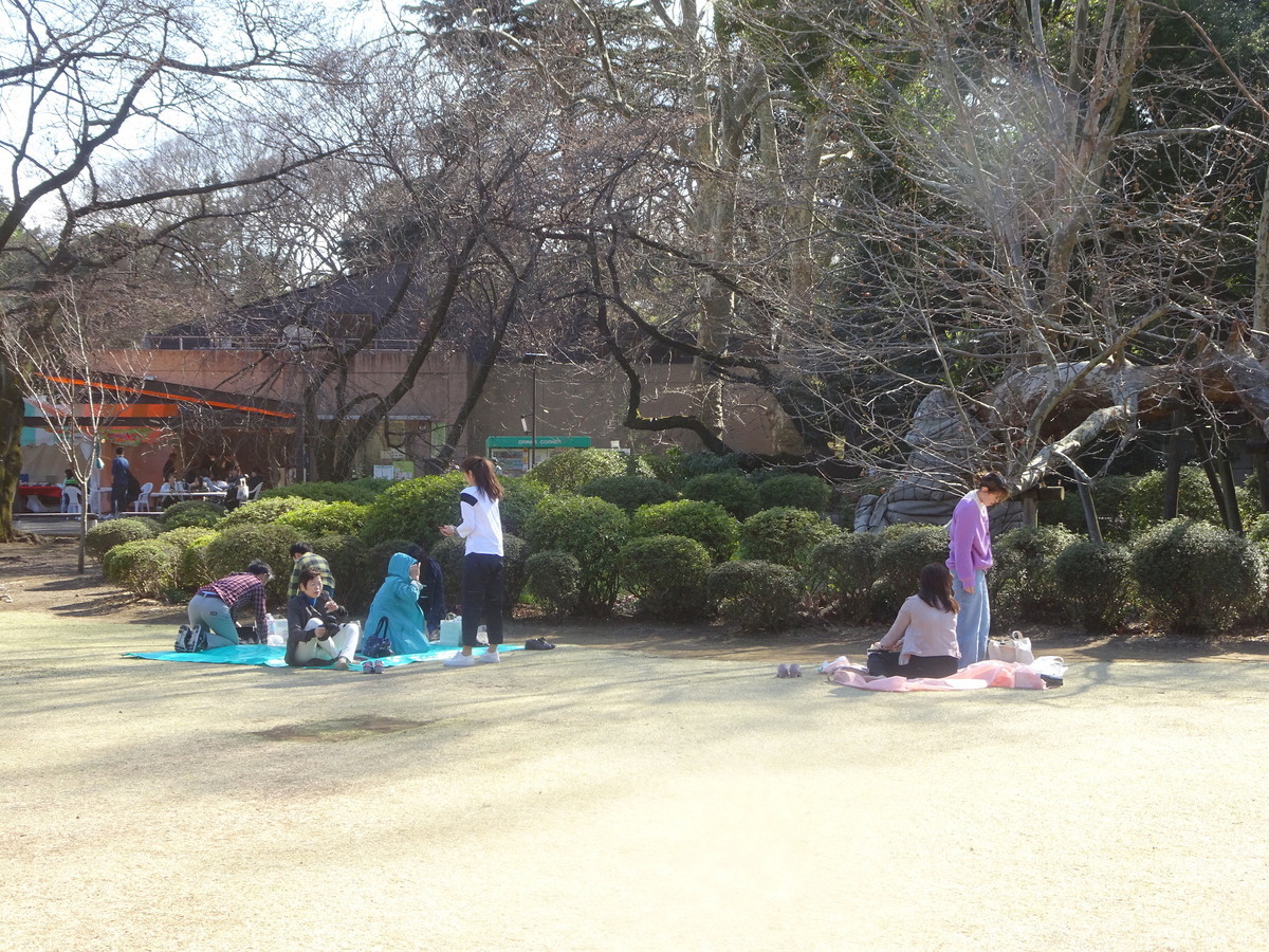 f:id:monna8888:20190321144504j:plain f:id:monna8888:20190321144504j:plain