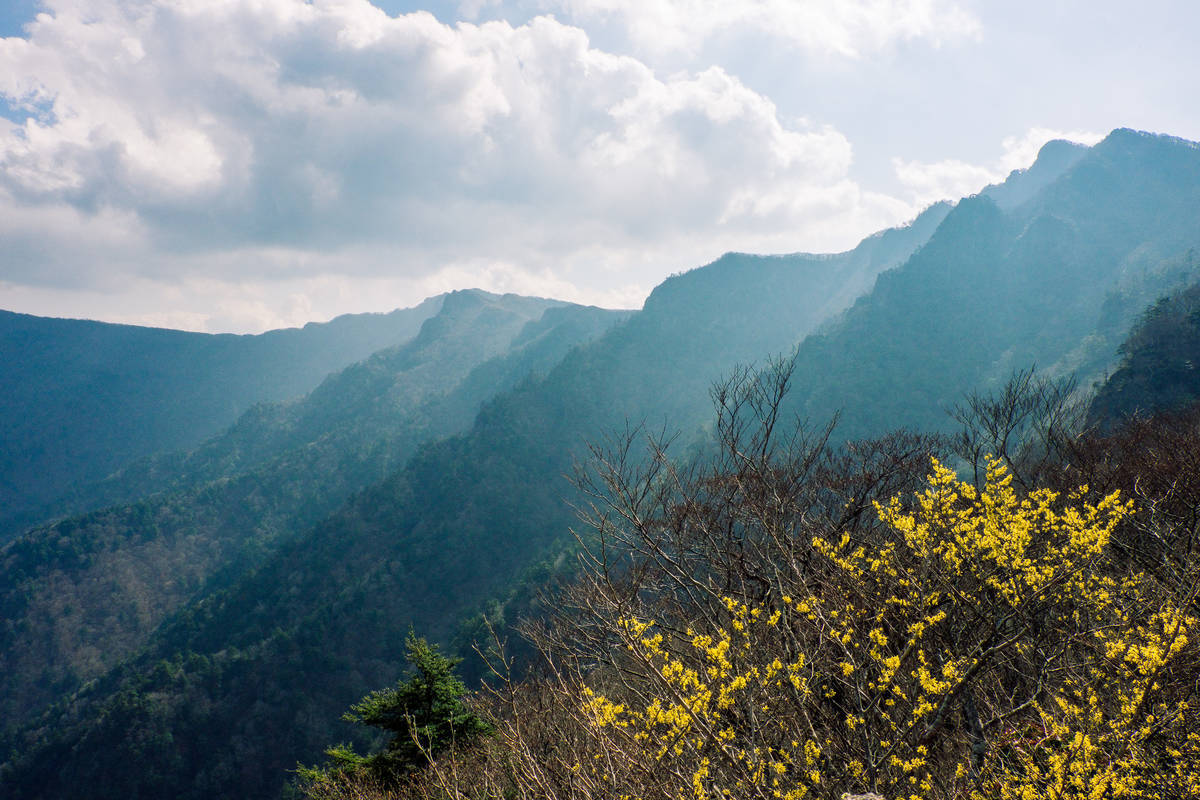f:id:mono_100:20190327185532j:plain f:id:mono_100:20190327185532j:plain