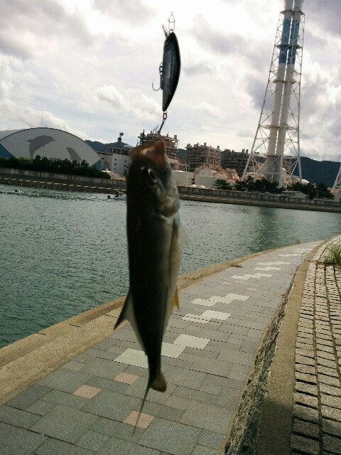 f:id:monog3s:20190905213621j:image