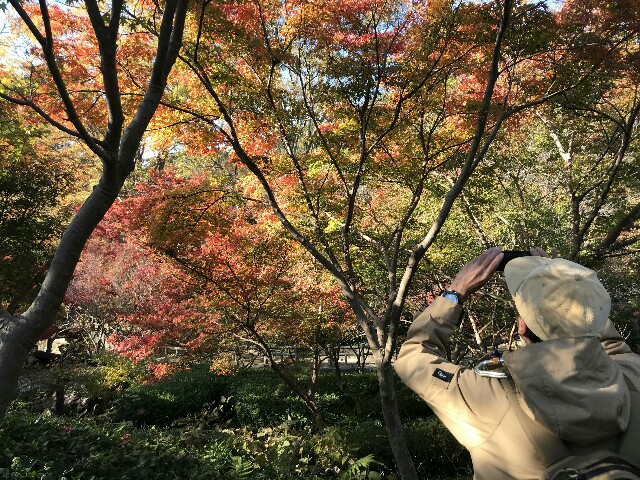 f:id:monog3s:20191127141056j:image