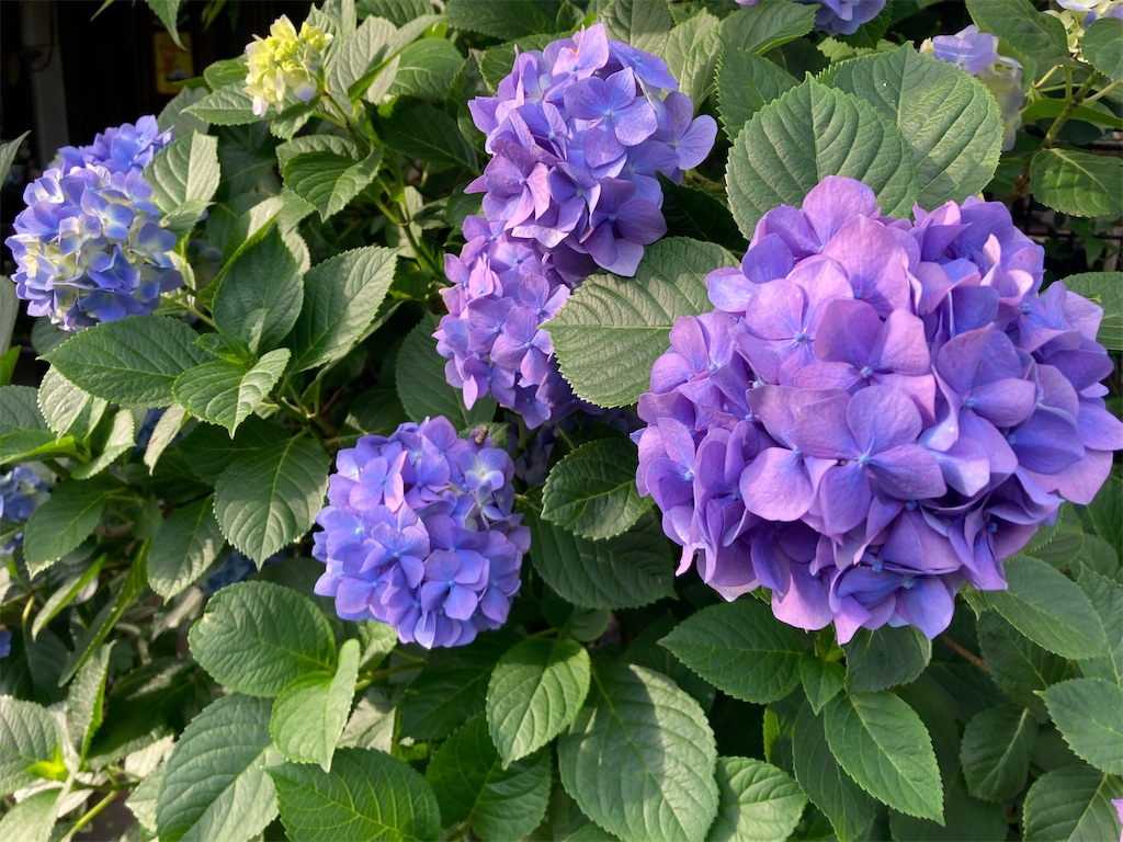 f:id:monogataricafe:20220612205810j:image f:id:monogataricafe:20220612205810j:image