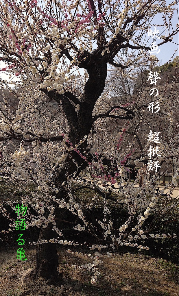 f:id:monogatarukam:20170209134546j:plain f:id:monogatarukam:20170209134546j:plain