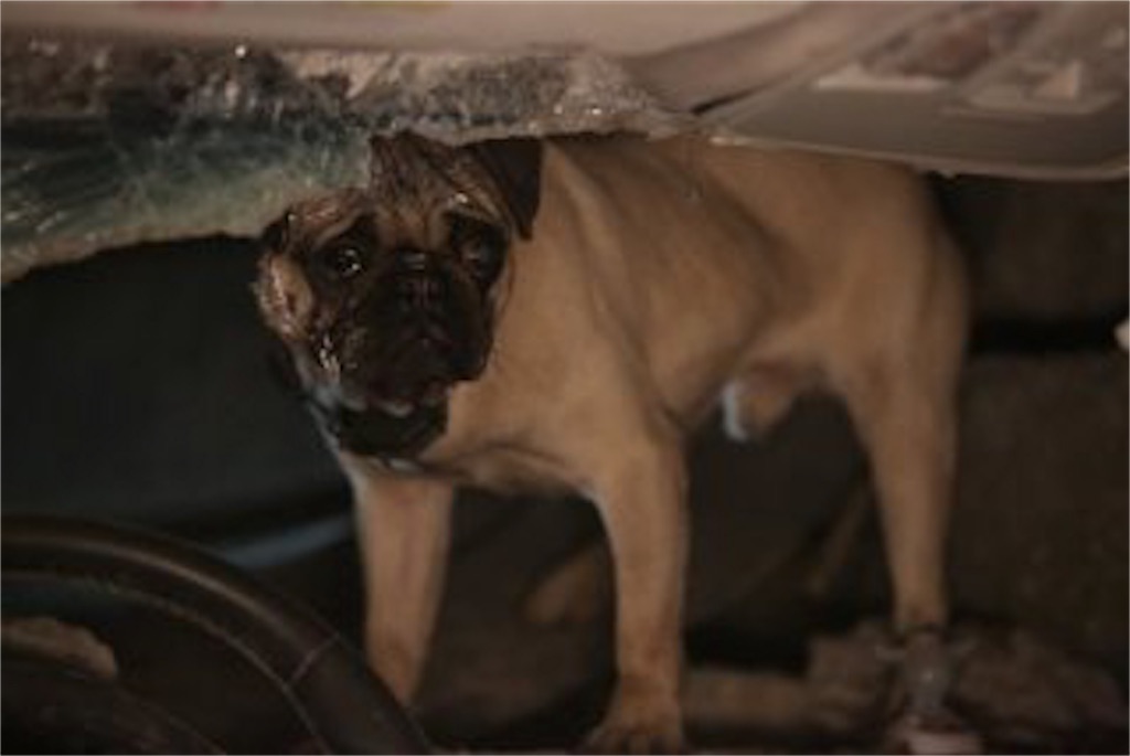 f:id:monogatarukam:20170920201316j:plain