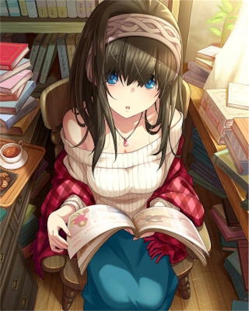f:id:monogatarukam:20181102093811j:plain