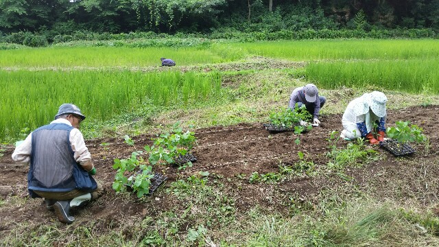 f:id:monoi117:20160723202625j:plain f:id:monoi117:20160723202625j:plain