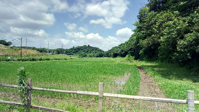 f:id:monoi117:20160803214513j:plain f:id:monoi117:20160803214513j:plain