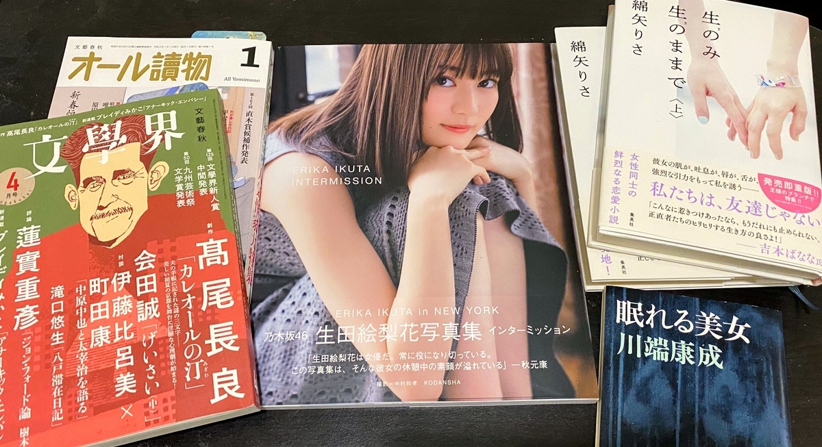 f:id:monokakibunchan:20200420093923j:plain