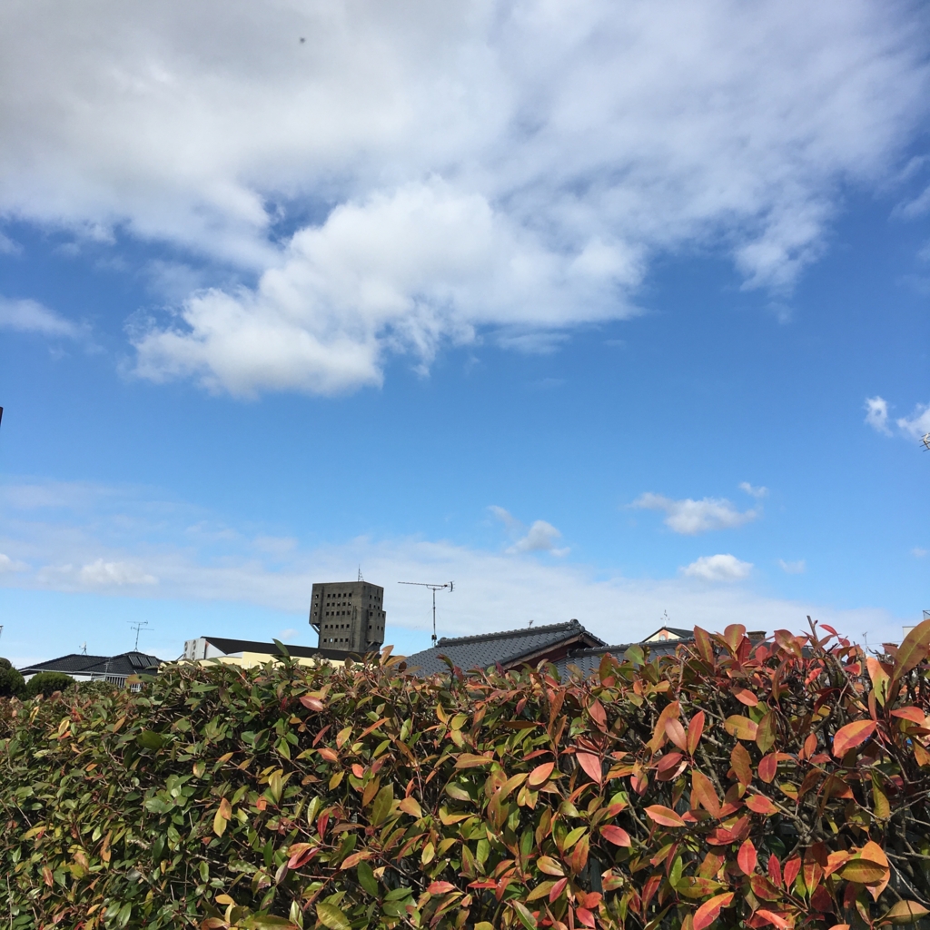 f:id:monokann:20160830141149j:plain