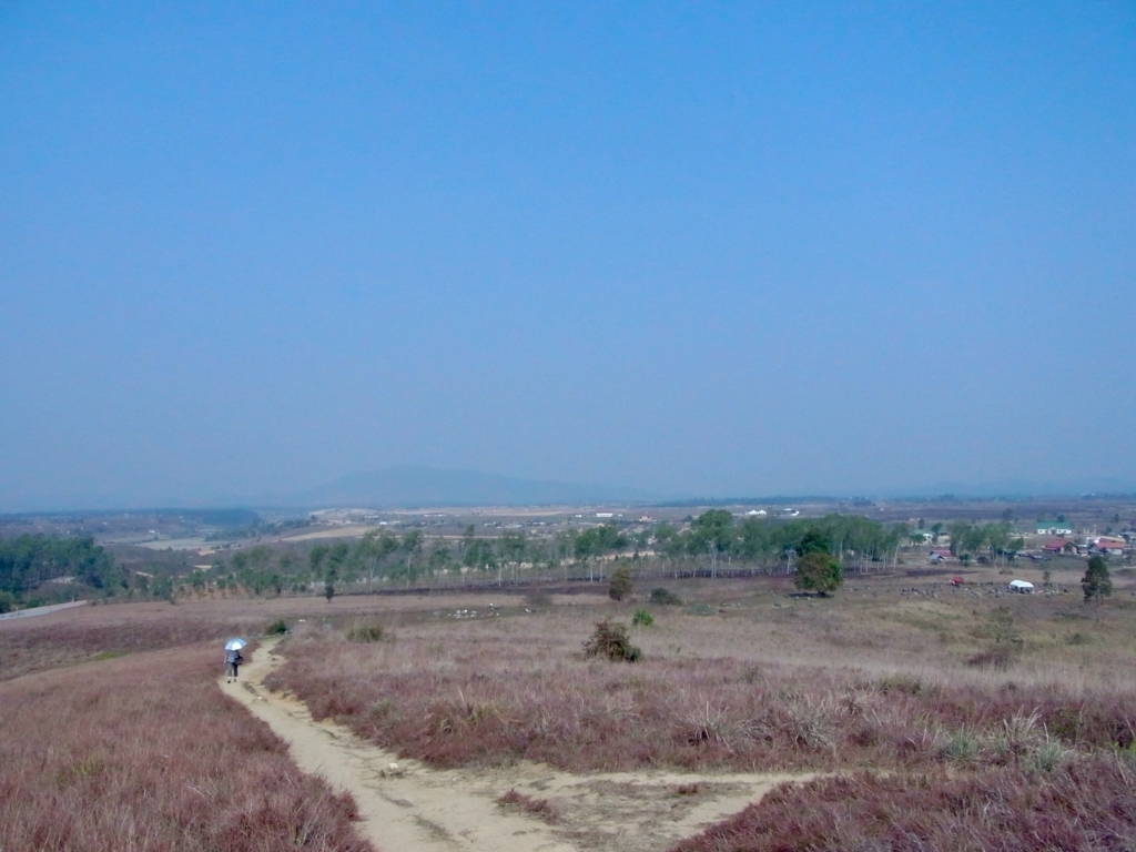 f:id:monokann:20170611232033j:plain