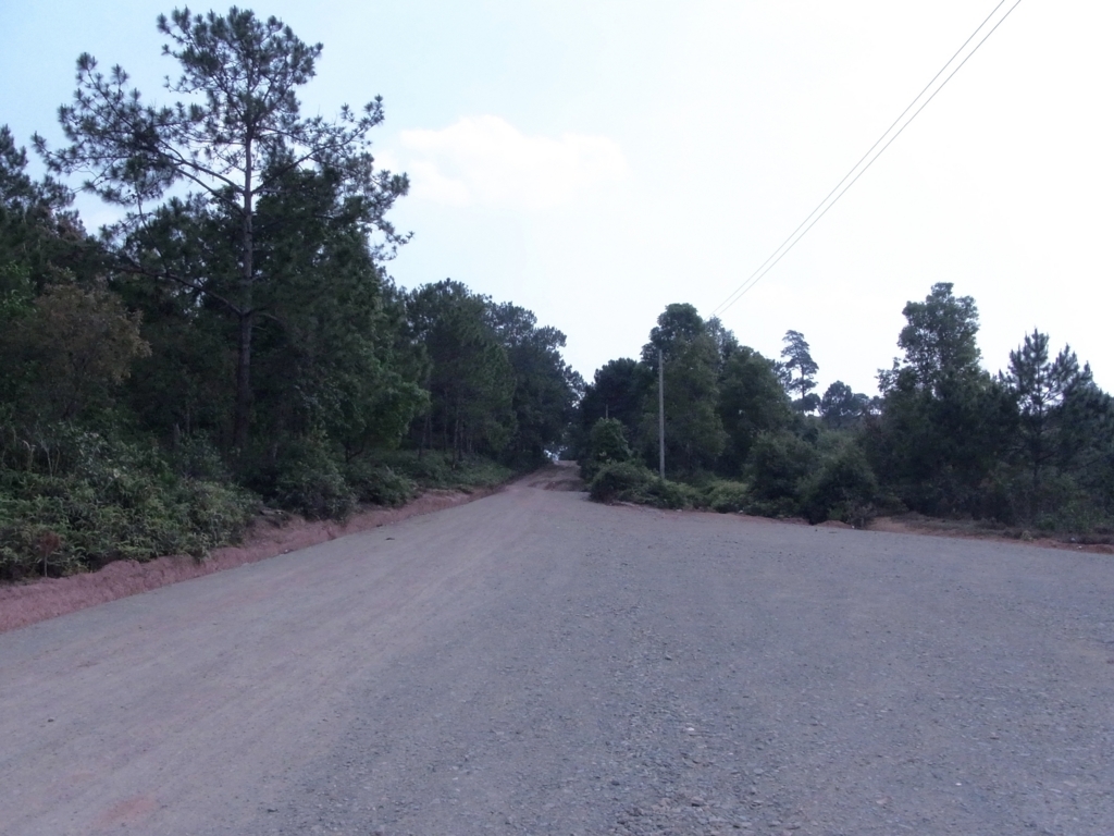 f:id:monokann:20170617012627j:plain