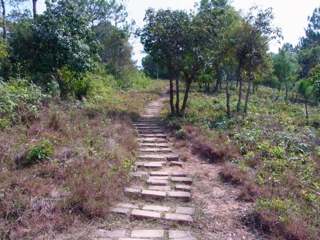 f:id:monokann:20170617012643j:plain