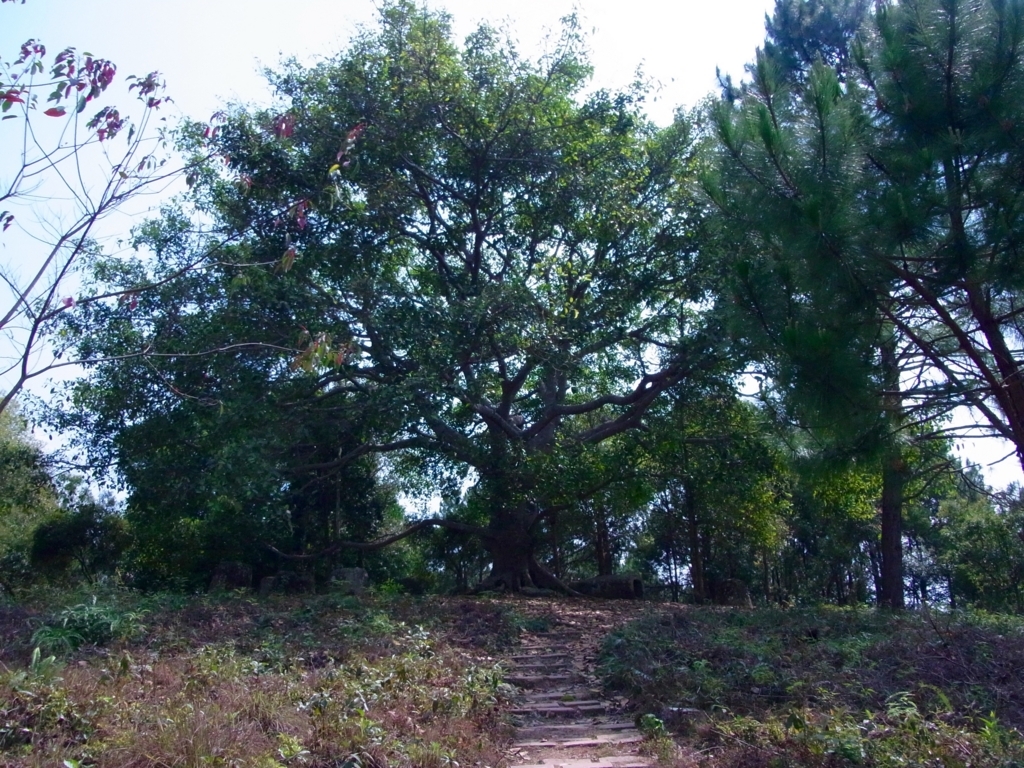 f:id:monokann:20170617012658j:plain