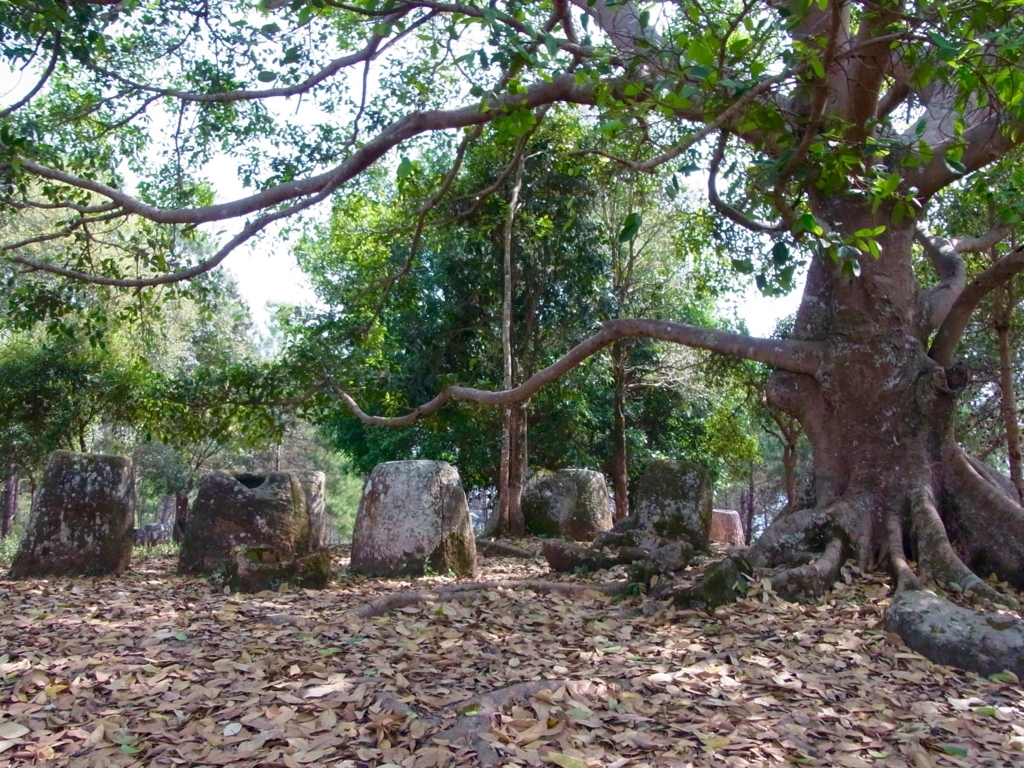 f:id:monokann:20170617012713j:plain