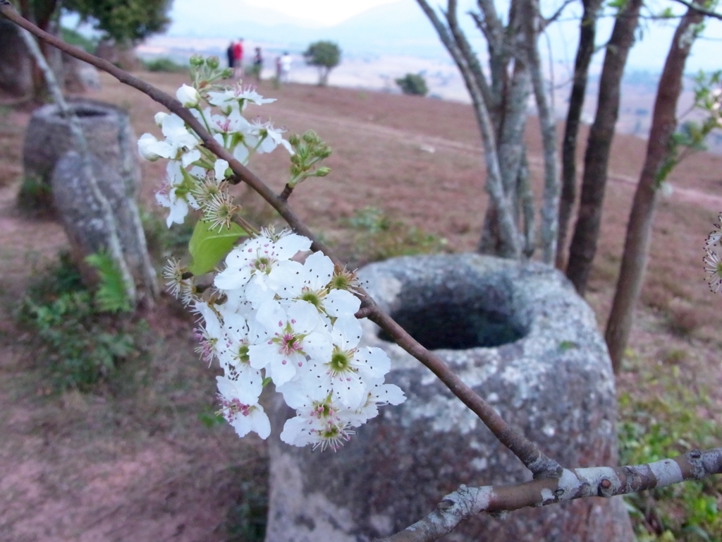 f:id:monokann:20170618135344j:plain