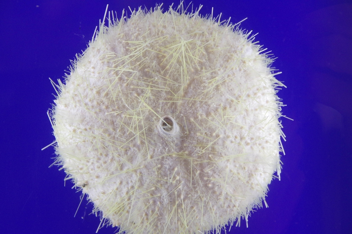 f:id:monokann:20190702002238j:plain f:id:monokann:20190702002238j:plain