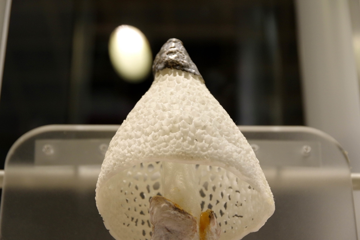 f:id:monokann:20190702002401j:plain f:id:monokann:20190702002401j:plain