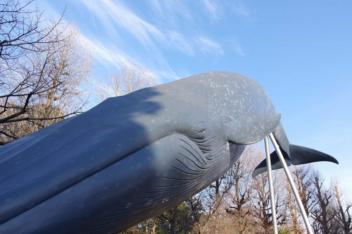 f:id:monokann:20190703011645j:plain f:id:monokann:20190703011645j:plain