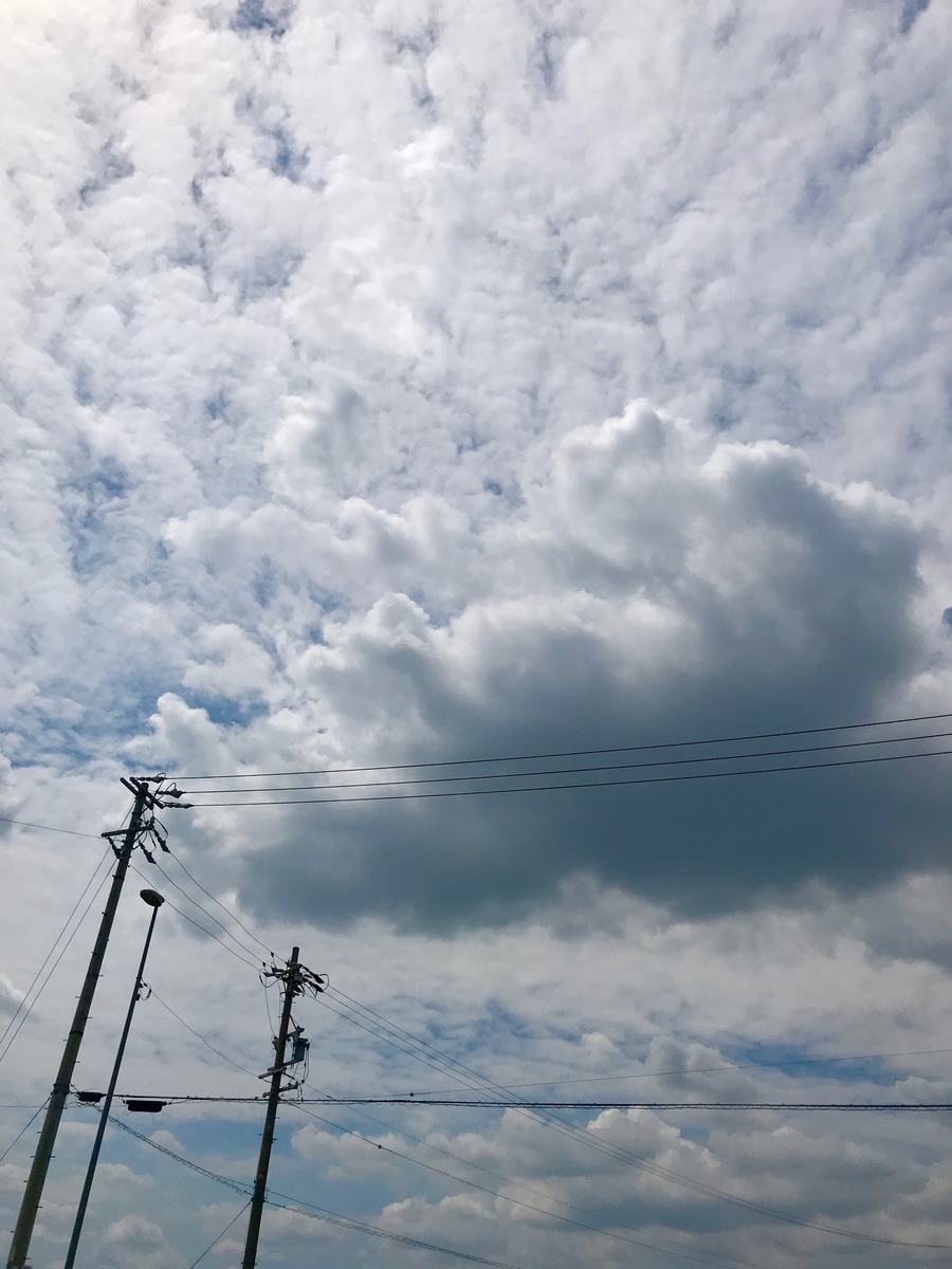 f:id:monokann:20190818165235j:plain f:id:monokann:20190818165235j:plain