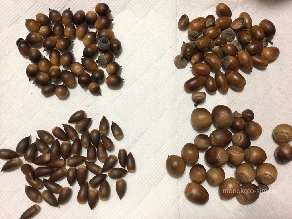 f:id:monokoto-simple:20161118144936j:plain