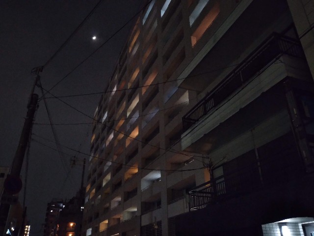 f:id:monokotooto:20210105111135j:image f:id:monokotooto:20210105111135j:image