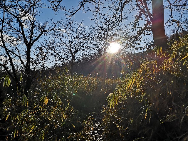 f:id:monokotooto:20210112135036j:image f:id:monokotooto:20210112135036j:image
