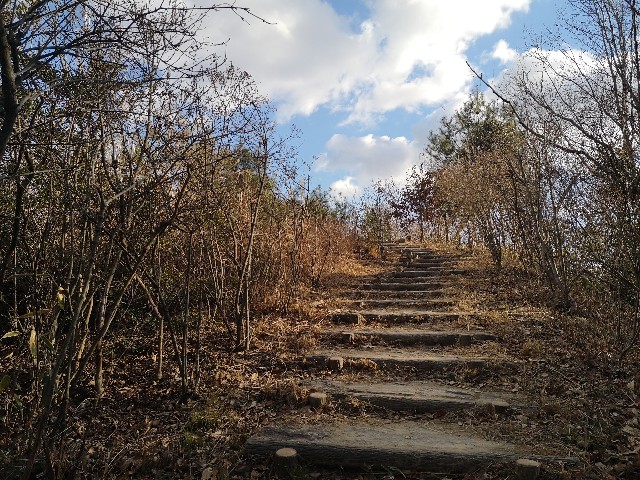 f:id:monokotooto:20210112135200j:image f:id:monokotooto:20210112135200j:image