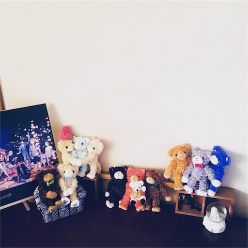 Mini Prince Catが届いたよ Slow Mini Prince Catが届いたよ Slow