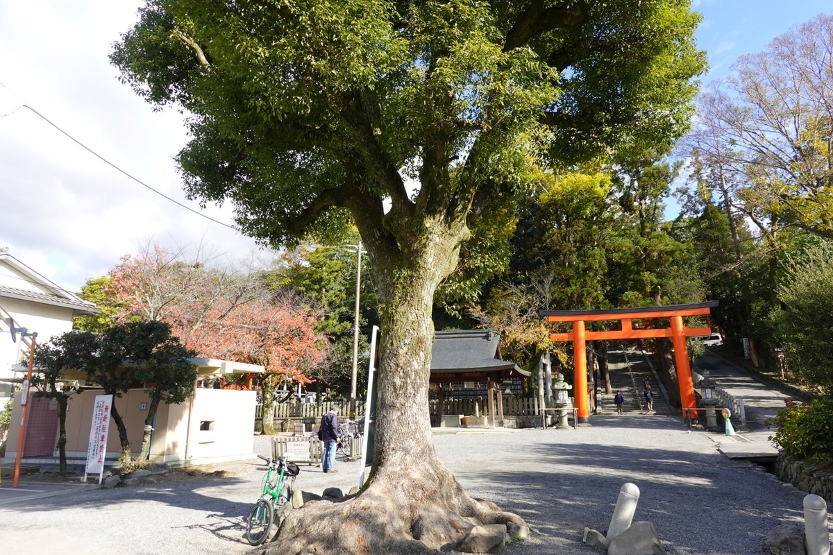 f:id:monolingualblog:20191207160440j:plain f:id:monolingualblog:20191207160440j:plain