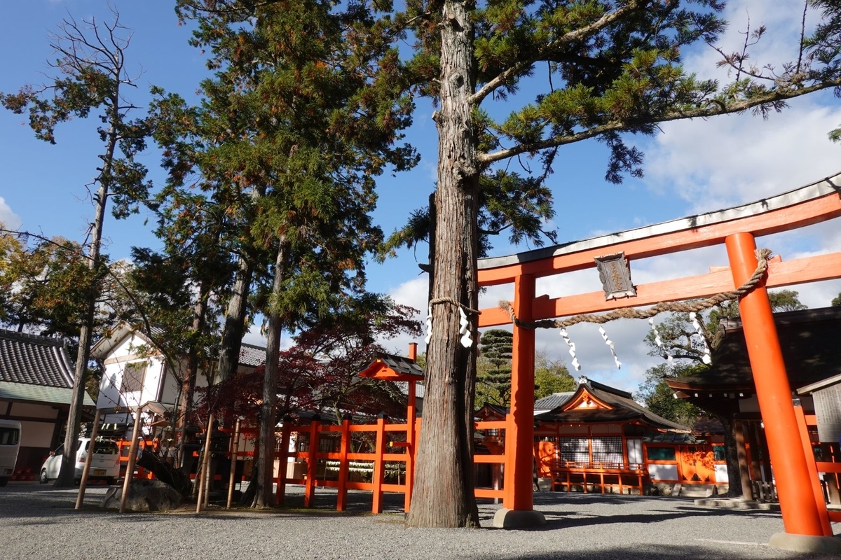 f:id:monolingualblog:20191207160503j:plain f:id:monolingualblog:20191207160503j:plain