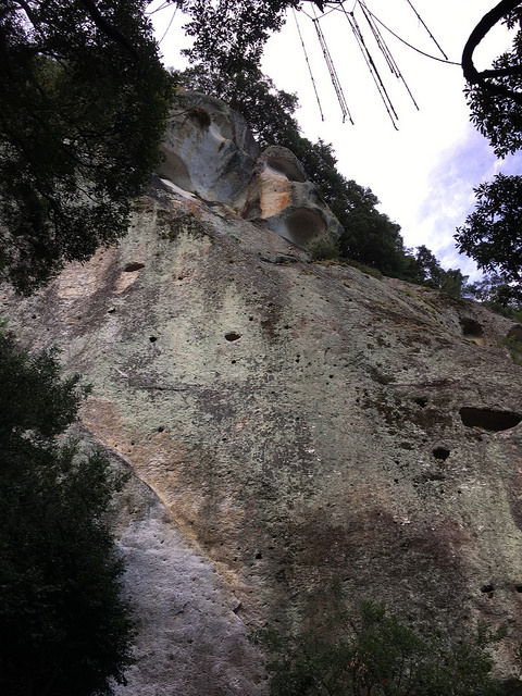 f:id:monomiyu3:20180908151929j:plain