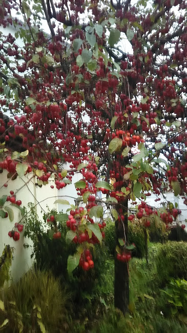 f:id:monomiyu3:20191202164823j:plain