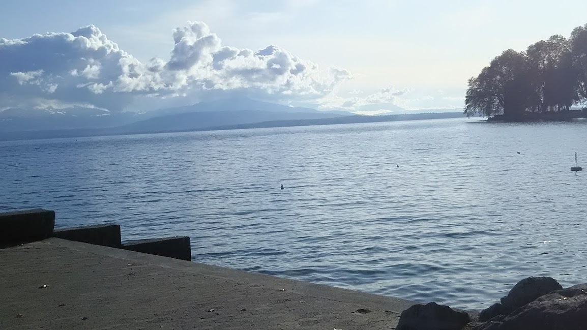 f:id:monomiyu3:20191202165600j:plain