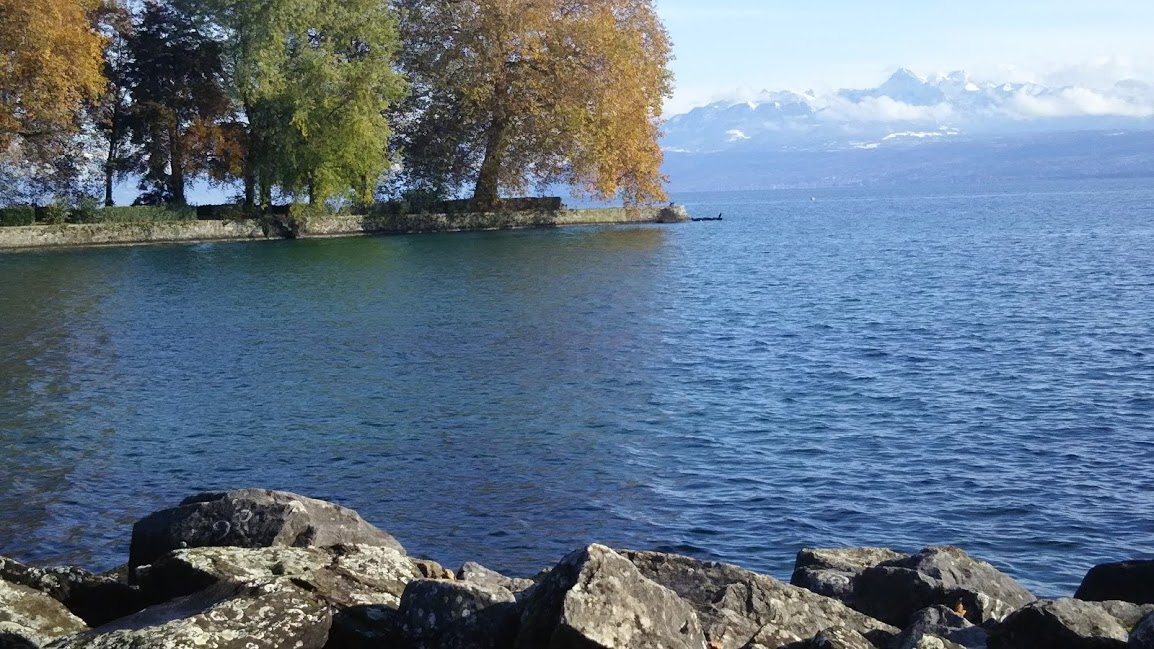 f:id:monomiyu3:20191202165616j:plain