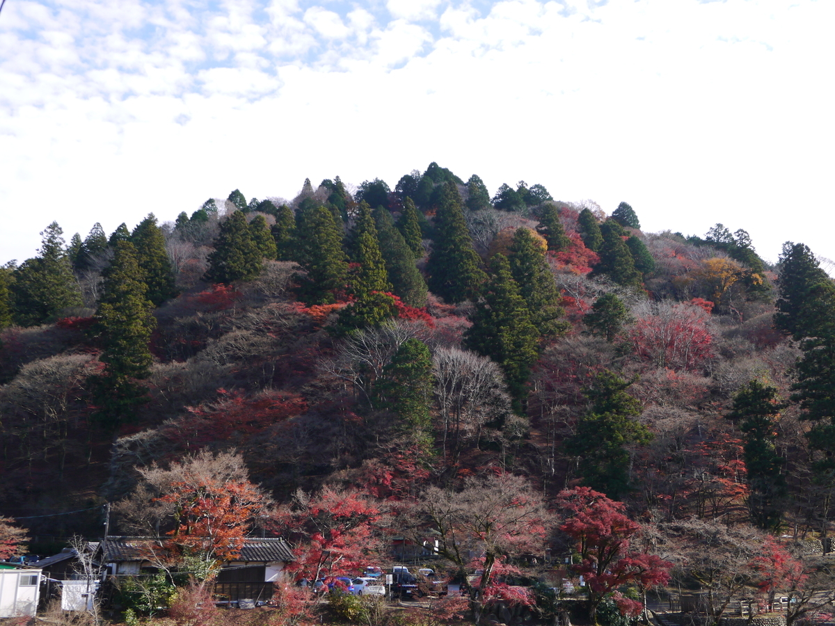 f:id:monoomoi2020:20201207011727j:plain