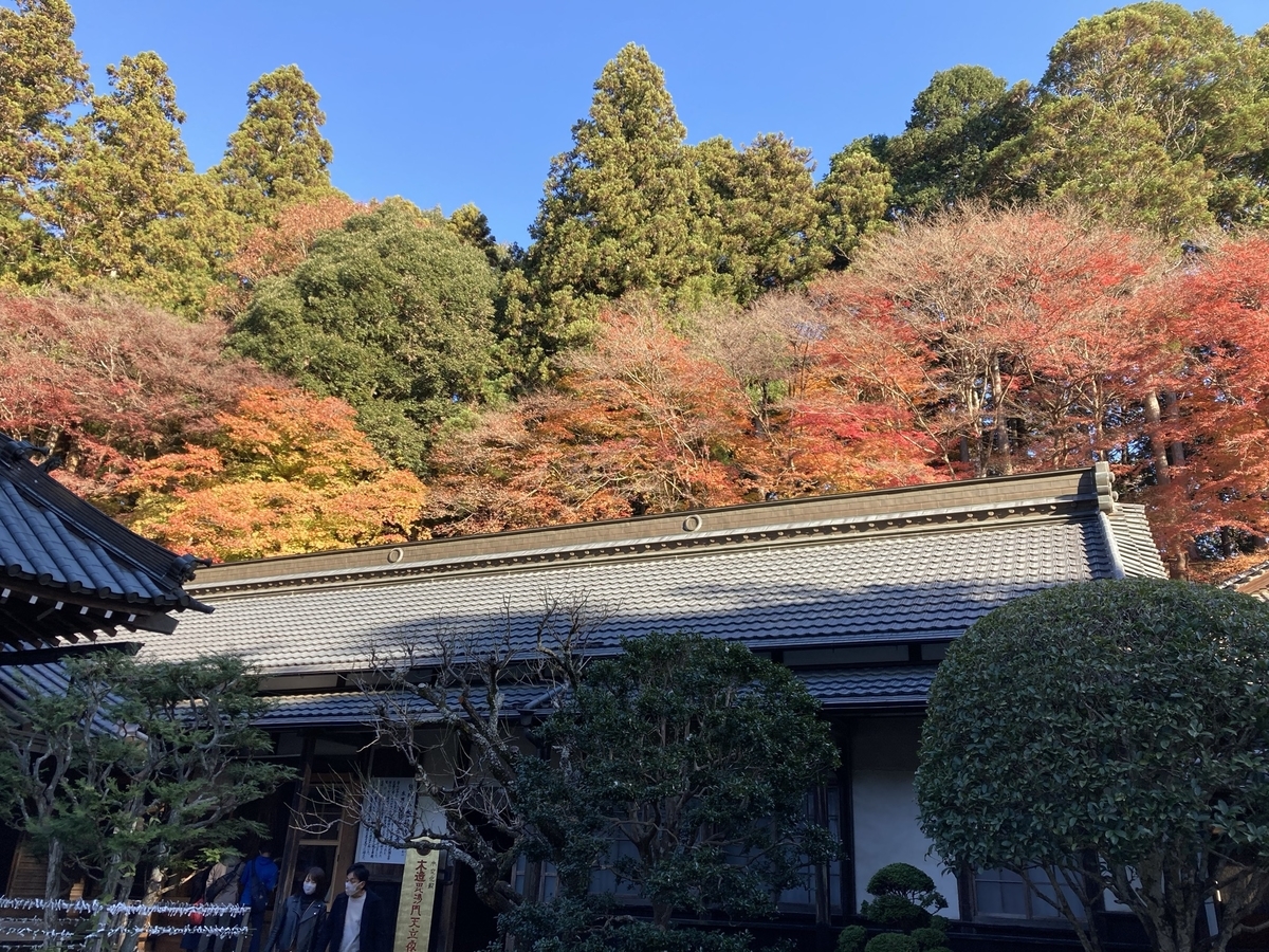 f:id:monoomoi2020:20201208020020j:plain