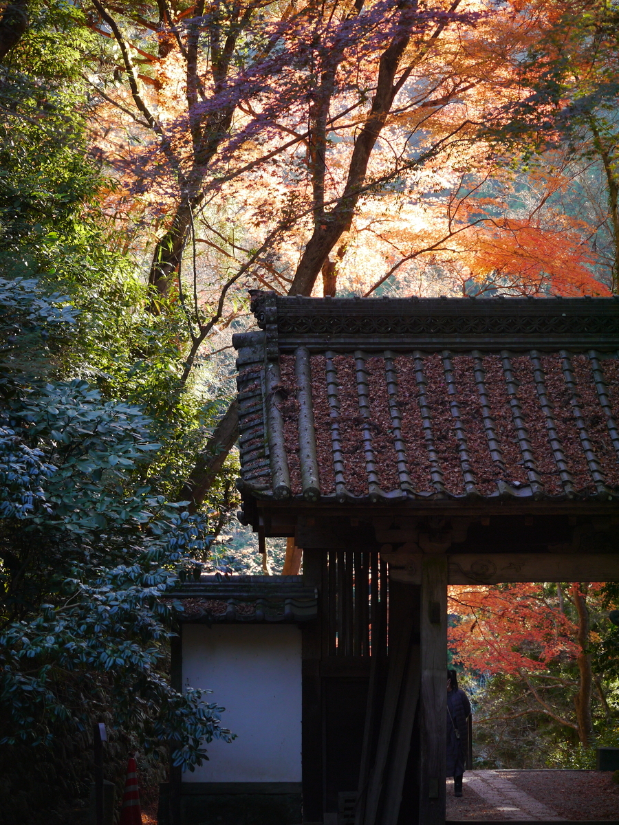 f:id:monoomoi2020:20201208021612j:plain