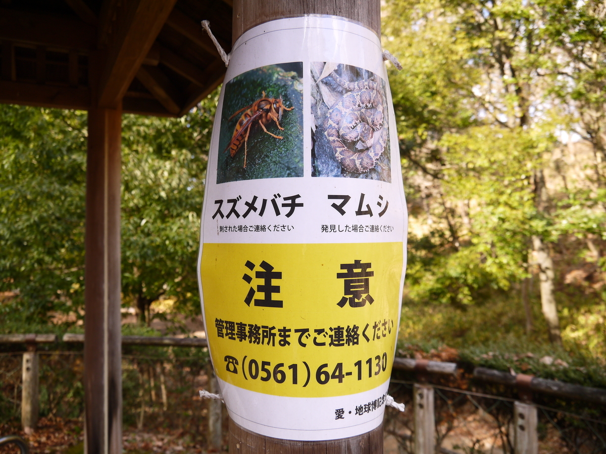 f:id:monoomoi2020:20210117123516j:plain