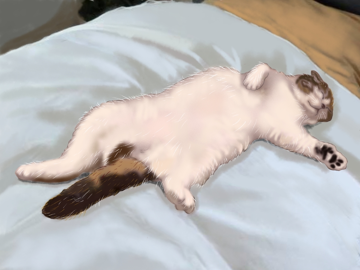 f:id:monoomoi2020:20210515220607j:plain