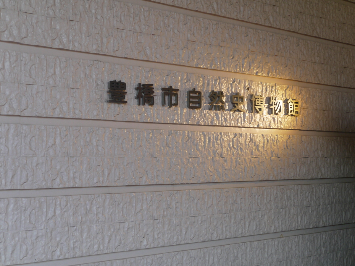 f:id:monoomoi2020:20211128190211j:plain