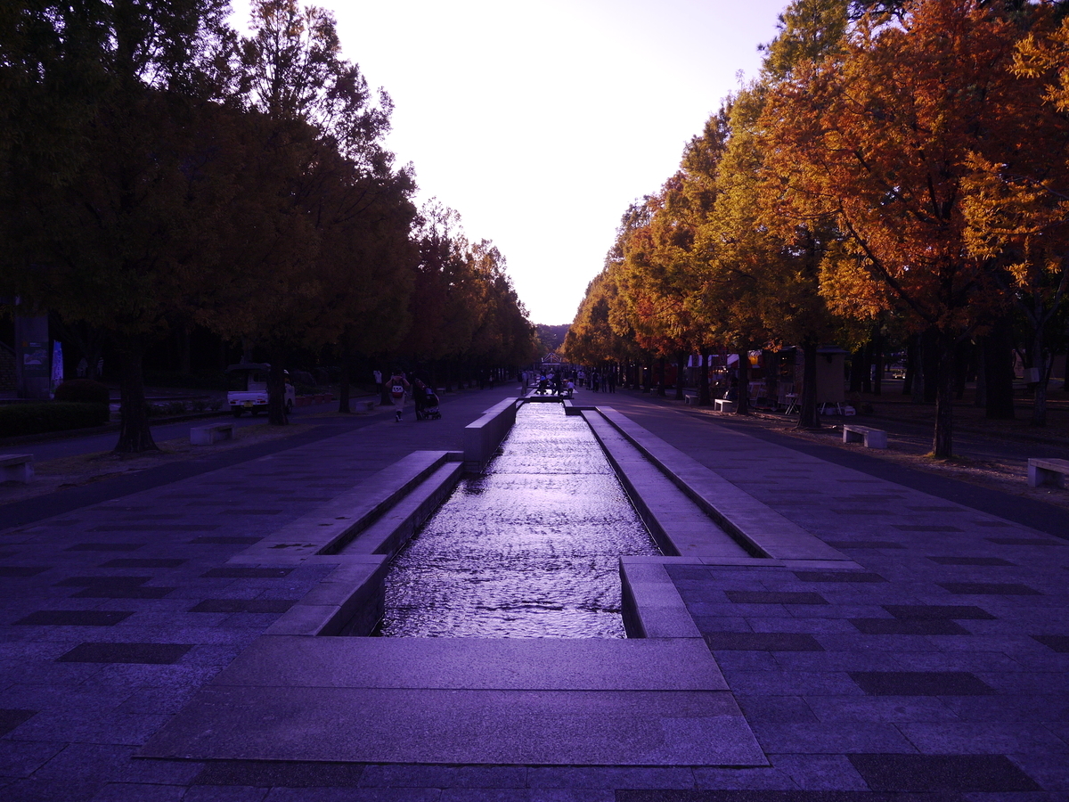 f:id:monoomoi2020:20211128190317j:plain