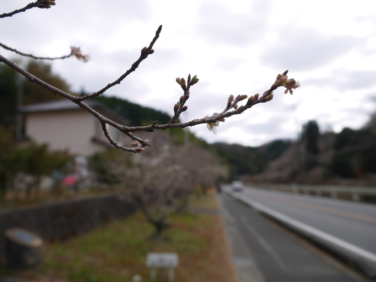 f:id:monoomoi2020:20211205225947j:plain