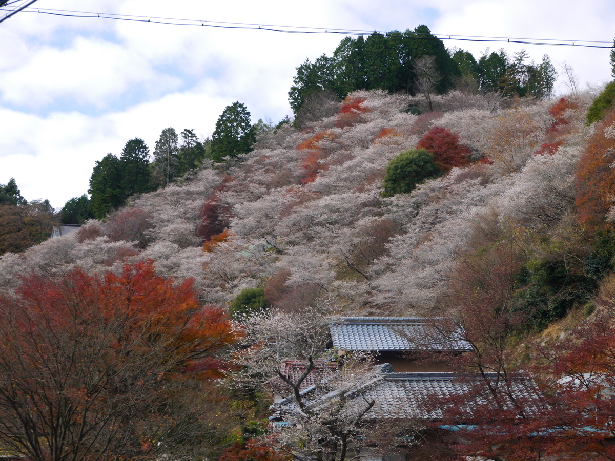 f:id:monoomoi2020:20211205230734j:plain