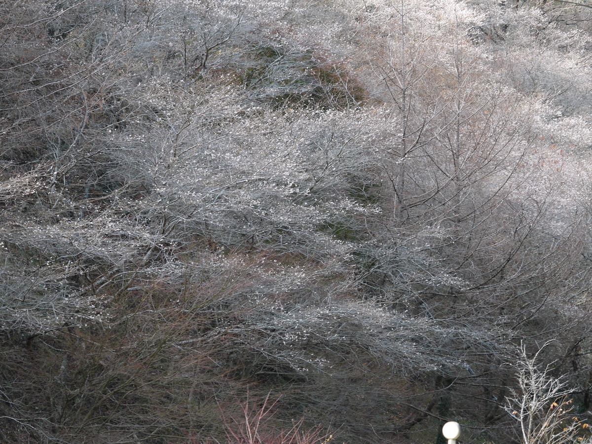f:id:monoomoi2020:20211205233600j:plain