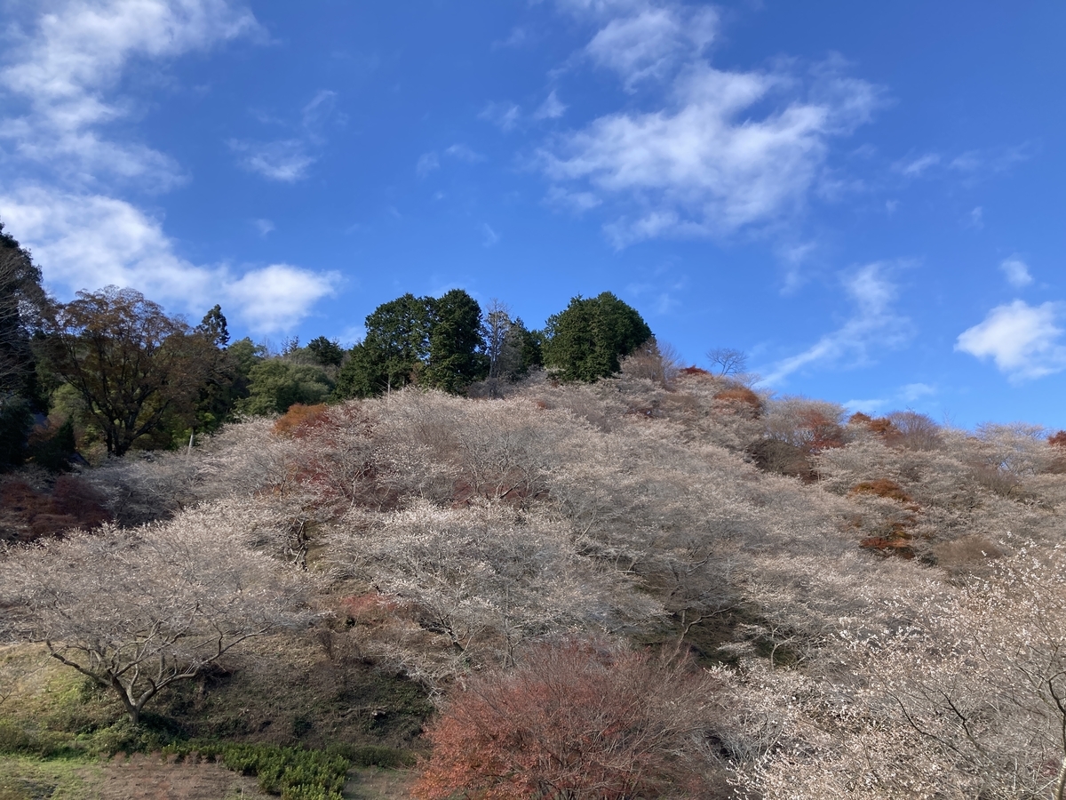 f:id:monoomoi2020:20211205234324j:plain